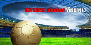 แทงบอล sbobet